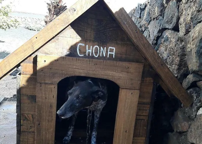 아파트 Casa Chona 티나조